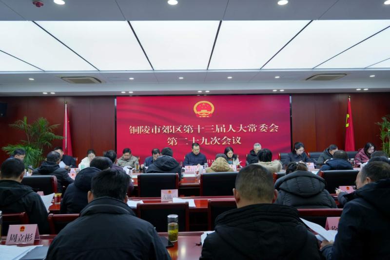 区十三届人大常委会第二十九次会议召开
