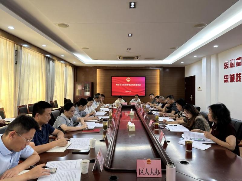 区人大常委会主任领衔督办重点代表建议